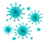 Microbiologia